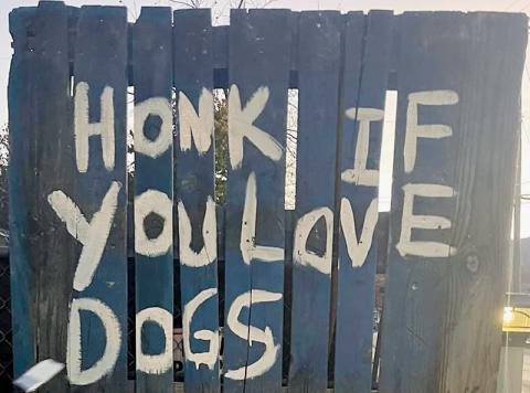 A sign outside a residence on Atoah Street has renewed interest in a dog-barking controversy between a pair of adjacent properties, which has spanned almost two years.