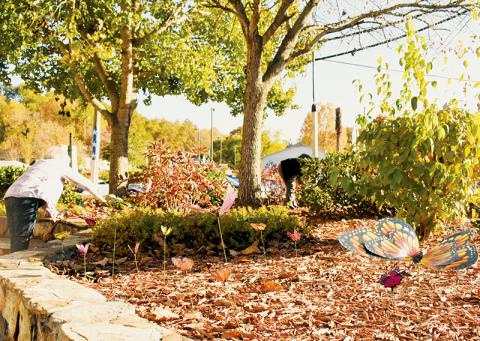 Attendees of Oct. 24’s “Shatter the Silence” event placed butterflies outside the Graham County Courthouse – a powerful tribute to victims lost to domestic violence. Photos by Ruby Annas/news@grahamstar.com