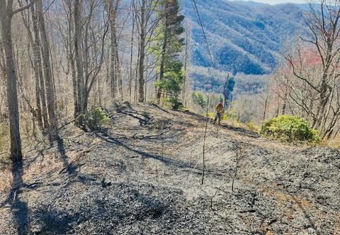 A downed powerline lit a fire that burned more than an acre of land Monday evening. Photo courtesy of Tory Lynnes