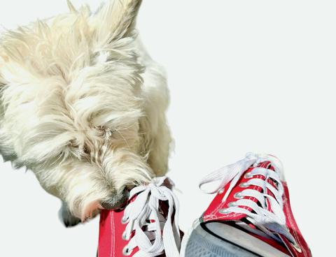 Tomorrow is National Shoe Day; a regional push to help the cause is gaining momentum. Art courtesy of Latresa Phillips/The Graham Star