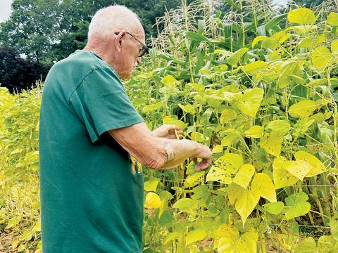 For more than 70 years, Jay Stewart has made sure to not let one piece of produce from his garden go to waste. He sees the ability to give away the majority of his crops as a testimony to the Lord. Photos by Latresa Phillips/The Graham Star