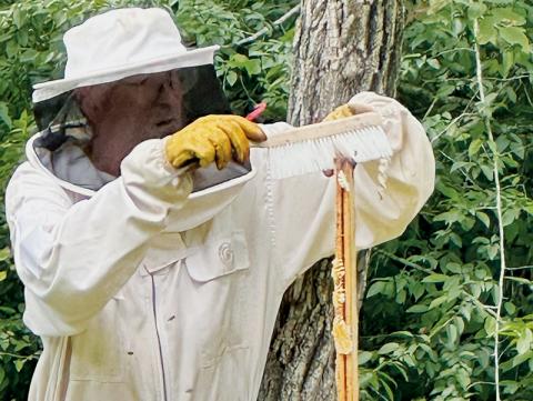 Local beekeeper Allen Wamsley carefully extracted lavender honey from a hive in the Yellow Creek community on July 3. Photos by Latresa Phillips/The Graham Star