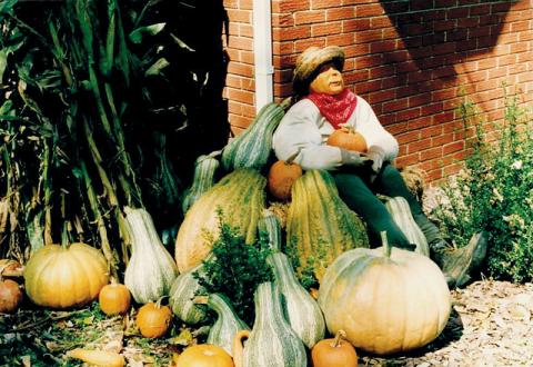 This scarecrow can rest, now that the autumn harvest is done.