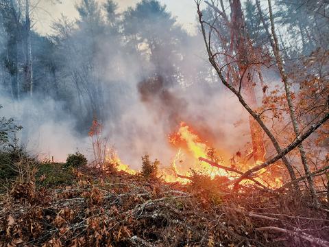 Dry conditions have sparked at least four brush fires in Graham County over the last week. The efforts to curb the spread of flames began Tuesday, Nov. 5, when this blaze started off Hoot Owl Hollow. Photo courtesy of Frank Cline/U.S. Forest Service