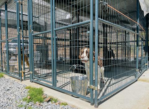 This outdoor kennel at the Valley River Humane Society was just one of many items that state officials said the 25-year-old facility would have to replace during an  inspection last year. With finances in a crunch for both the shelter and Graham County, neither side could come to an agreement to continue its long-time working relationship, which ended Saturday. Photo by Randy Foster/Cherokee Scout