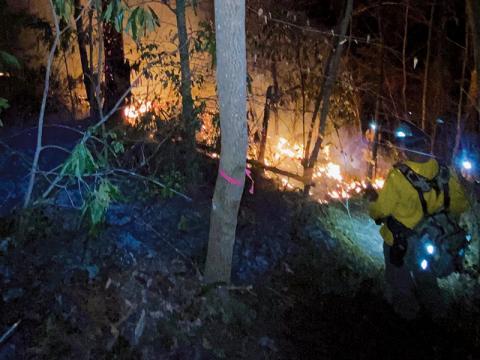 Firefighters battle a blaze off Dick Branch Road on March 5. Photo courtesy of Jade Teasdale/N.C. Forest Service