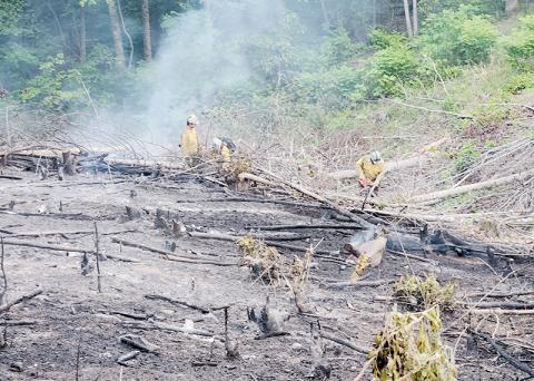 U.S. Forest Service firefighters Heath Emmons, Ben Limes and Forrest Koontz examine the remnants of a brush fire that started Sunday in Lake Santeetlah. Photo courtesy of Tory Lynnes/U.S. Forest Service