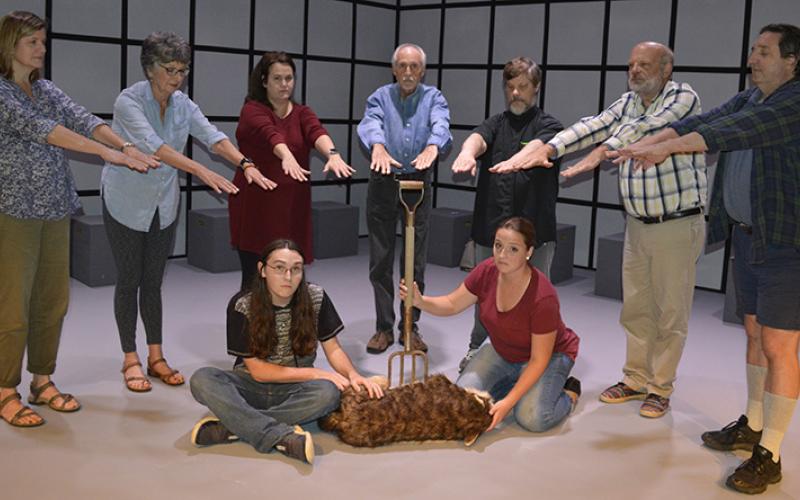 The cast of The Curious Incident includes (from left): Virginia Mattox, BJ Foster, Jessica Gentry, Ben Stephens, David Layfield, Lamar Barber, Jon Jordan. Not pictured is Susan Morgan. Photo by Pam Roman. 