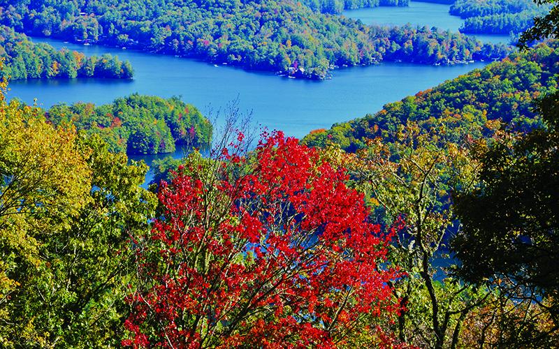 Trees surrounding Lake Santeetlah display some late-blooming fall colors. Photo by Art Miller/amiller@grahamstar.com