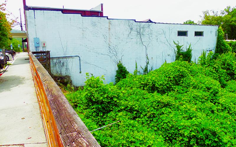 This building in downtown Robbinsville has a massive field of kudzu growing adjacent to the structure. Photos by John Colwell/Contributing Photographer