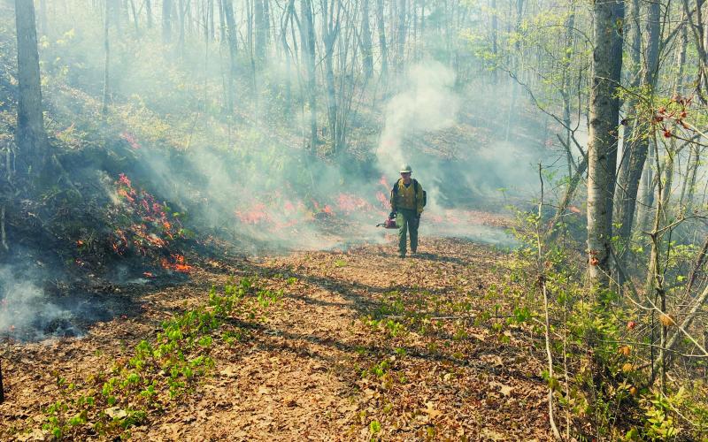An unidentified firefighter emerges from the smoke and flames that consumed nearly 400 acres around Fontana Lake last week. Photo courtesy of U.S. Forest Service.