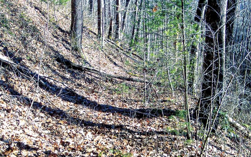 A portion of the old Cherokee Indian trade route near present-day Blue Boar Lodge, later widened to accommodate wagons. Photo by Marshall McClung/The Graham Star
