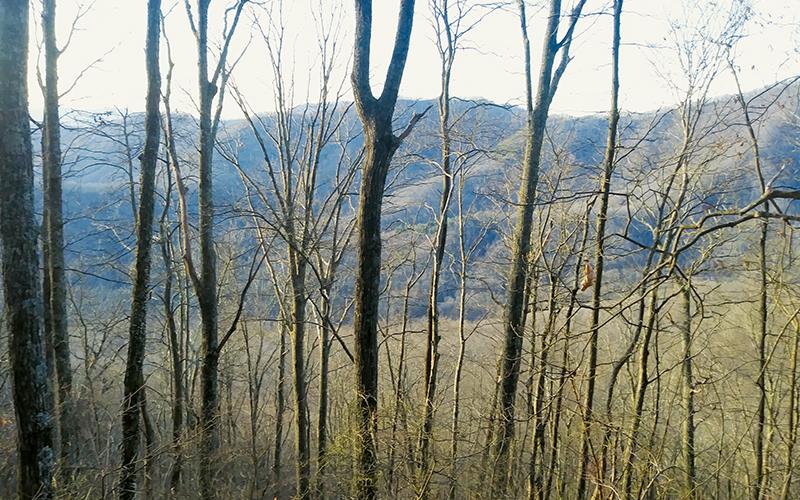 Views like this await Appalachian Trail hikers who pass through Stecoah Gap. Photo by Charlie Benton/news@grahamstar.com