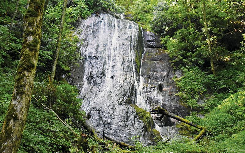 Measuring 31 feet in height, Burgen Creek Falls is a hidden gem off Atoah Road. Until the publication of this column, that is. Photos by Kevin Hensley/editor@grahamstar.com