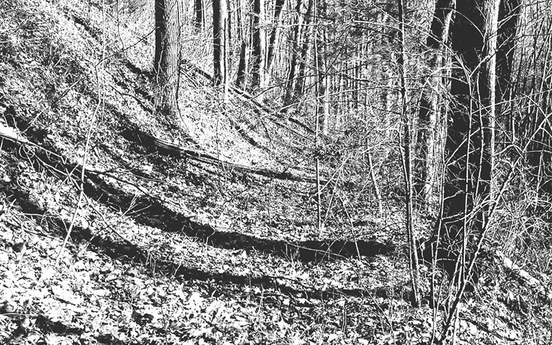 Old Cherokee trails – as this one in the Santeetlah area – were widened to accommodate wagons by early white settlers. Photo by Marshall McClung/The Graham Star