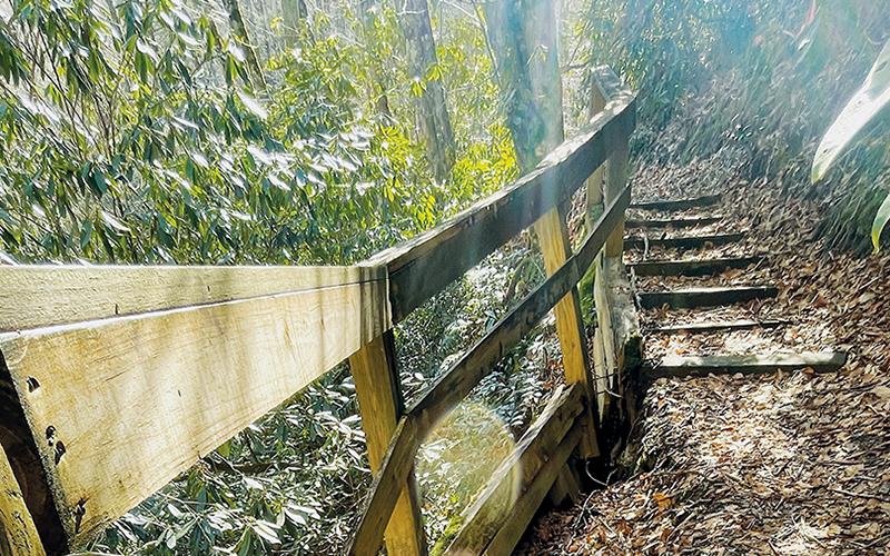 A section of stepped trail, just beyond this bridge and to the left, was damaged during a storm and forced the closure of half of Joyce Kilmer Memorial Forest’s most popular hiking trail. Photo by Randy Foster/news@grahamstar.com