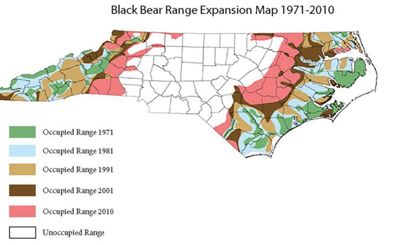 This map shows the expansion of black bears across North Carolina between 1971 and 2010.