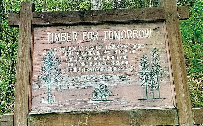 This sign was erected in the late 1970s to describe timber management in an area off U.S. Highway 129 southeast of Robbinsville. It states that the area was logged in 1977. U.S. Forest Service officials say this area would again be logged as part of the Crossover Project between Graham and Cherokee counties.