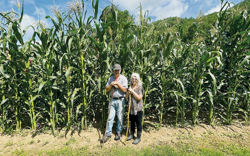 Beside rows of corn 12 feet high, Harold and Brenda Williams pose in a garden a plot that has been in the family since 1893.