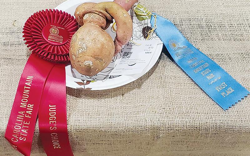 This unusual sweet potato turned enough heads at the 2022 N.C. Mountain State Fair in Fletcher for Double 00 Farm to receive a pair of 1st-place ribbons for the vegetable.
