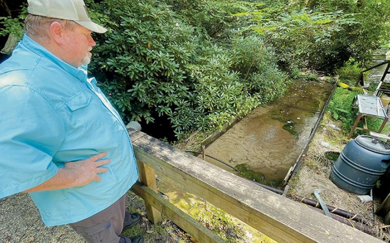 Duane Wilkey looks at the silt-filled raceway at his trout farm on Hunting Boy Branch on Aug. 25. Photo by Randy Foster/news@grahamstar.com