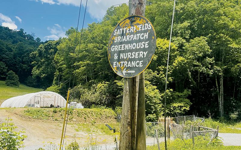 A rustic – albeit charming – sign welcomes customers to Satterfield’s Briarpatch Greenhouse & Nursery, located off Anthony Branch Road in Graham County.