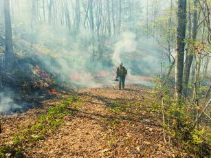 An unidentified firefighter emerges from the smoke and flames that consumed nearly 400 acres around Fontana Lake last week. Photo courtesy of U.S. Forest Service.