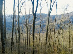 Views like this await Appalachian Trail hikers who pass through Stecoah Gap. Photo by Charlie Benton/news@grahamstar.com