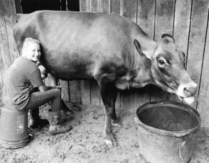 Ella McGuire milks “Jewel,” as part of her farm chores. Photo by Angela McGuire/Contributing Photographer