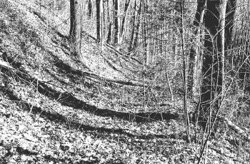 Old Cherokee trails – as this one in the Santeetlah area – were widened to accommodate wagons by early white settlers. Photo by Marshall McClung/The Graham Star