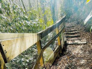A section of stepped trail, just beyond this bridge and to the left, was damaged during a storm and forced the closure of half of Joyce Kilmer Memorial Forest’s most popular hiking trail. Photo by Randy Foster/news@grahamstar.com