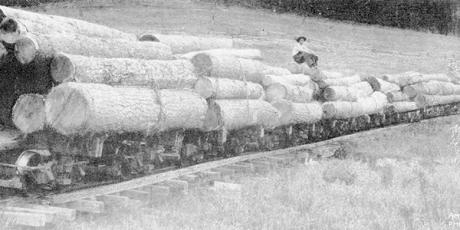 The Whiting Lumber Company came to Graham County in 1910.