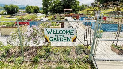 There is green as far as the eye can see at the Robbinsville Community Garden, which is located behind the Church Mouse thrift store between North Main and Ford streets in Robbinsville. Photo by Randy Foster/news@grahamstar.com