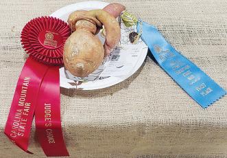 This unusual sweet potato turned enough heads at the 2022 N.C. Mountain State Fair in Fletcher for Double 00 Farm to receive a pair of 1st-place ribbons for the vegetable.