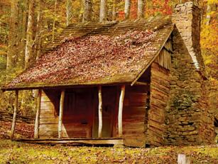 Rebecca Morris was chosen as the winner of The Graham Star's 2021 Fall Foliage Contest, after capturing this colorful moment at Stewart Cabin on Oct. 23.