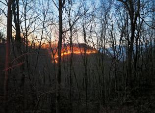 What started as an attempt to burn debris off Tallulah Road turned into a busy night for firefighters March 30. When the fire was finally contained, over 90 acres of forest land had been scorched. Photo courtesy of Tory Lynnes/U.S. Forest Service