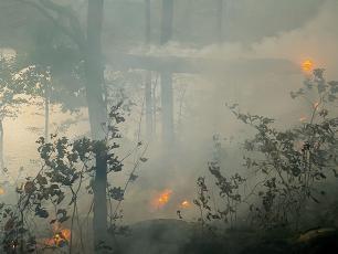 A smoky close-up of the Sept. 26 destruction on the Fontana Lake peninsula. Photo courtesy of Great Smoky Mountains National Park