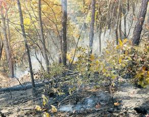 Crews are still combating a fire that broke out in a wooded section of the Yellow Creek community Sunday. Photo courtesy of Tory Lynnes/U.S. Forest Service