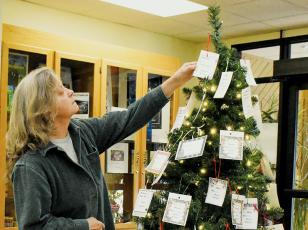 Local resident MJ Bigos observes the gifts on the tree to give to Graham County senior citizens. Photo by Ruby Annas/news@grahamstar.com